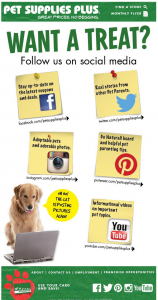 Different optimal strategies for different social media platforms.
