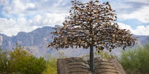Oro Valley Library tree sculpture